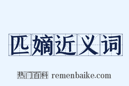 匹嫡近义词是什么意思的图片